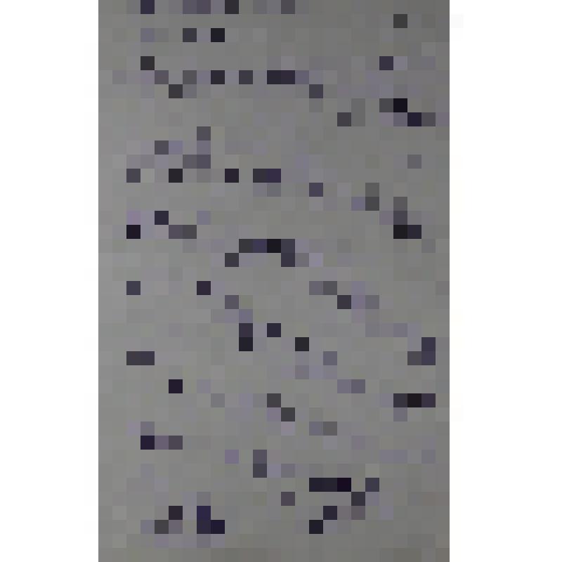 Воспоминания М.В. Голева о Гражданской войне, партизанском движении