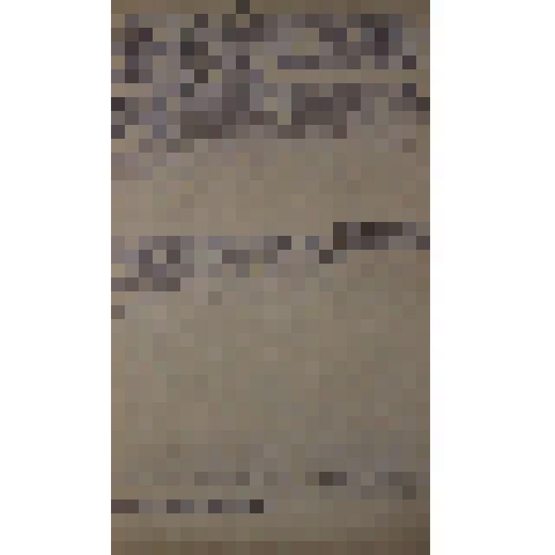 Воспоминания М.В. Голева о Гражданской войне, партизанском движении