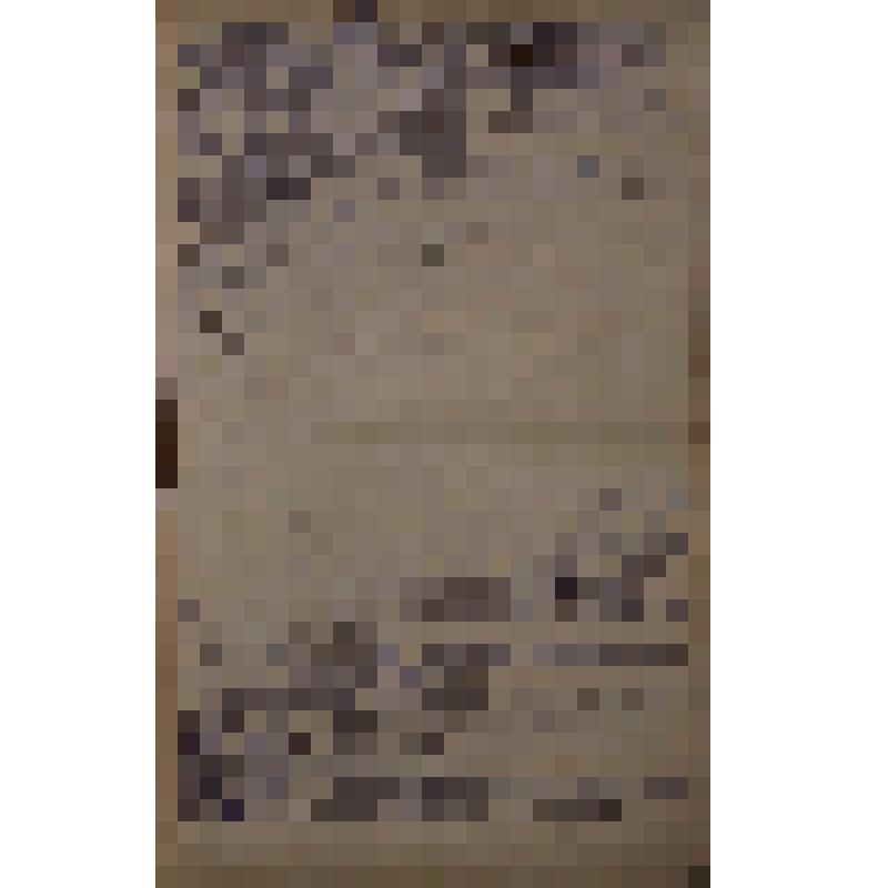 Воспоминания М.В. Голева о Гражданской войне, партизанском движении