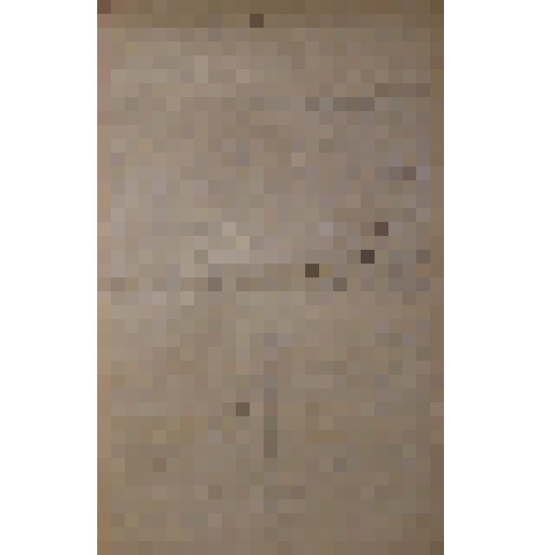 Воспоминания М.В. Голева о Гражданской войне, партизанском движении