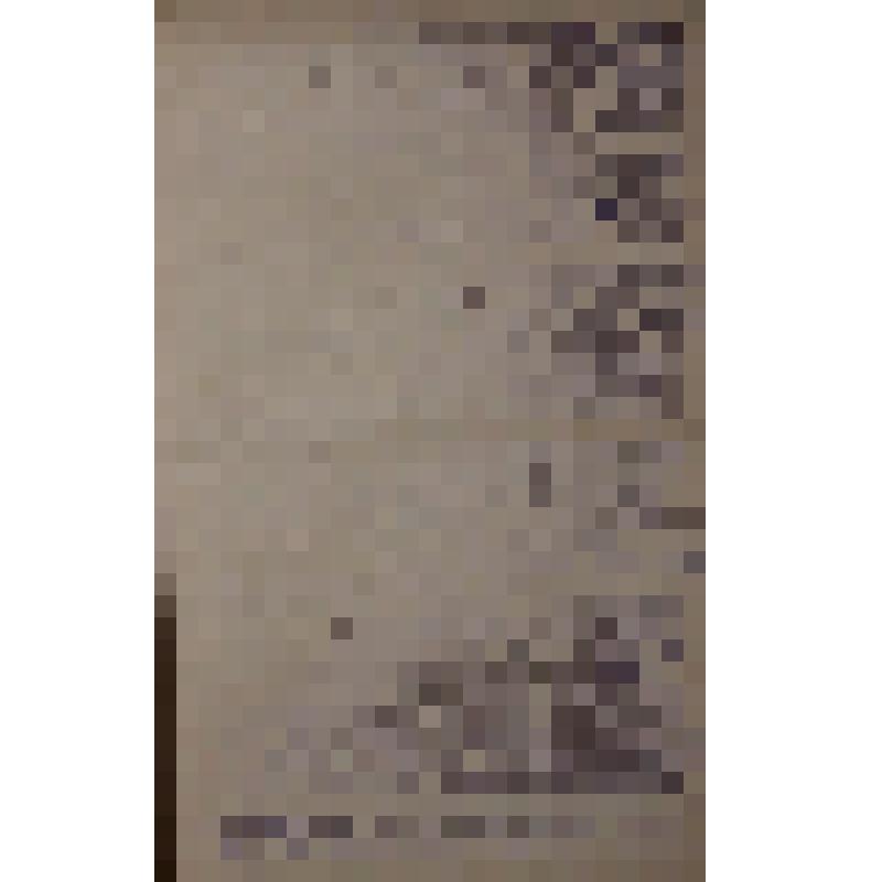 Воспоминания М.В. Голева о Гражданской войне, партизанском движении