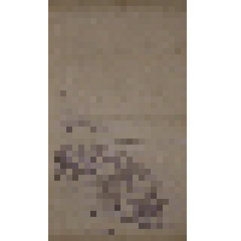 Воспоминания М.В. Голева о Гражданской войне, партизанском движении