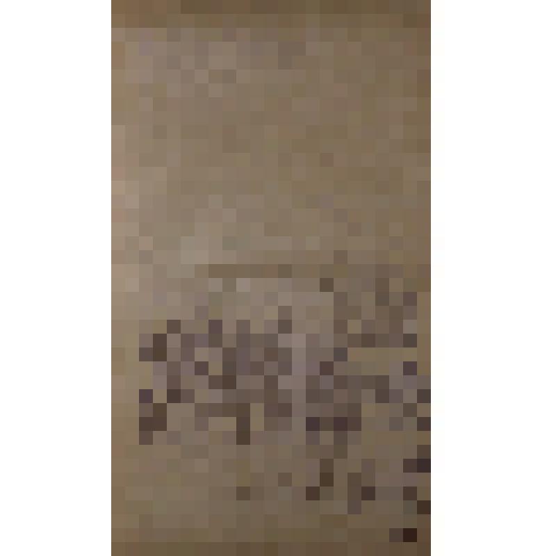 Воспоминания М.В. Голева о Гражданской войне, партизанском движении