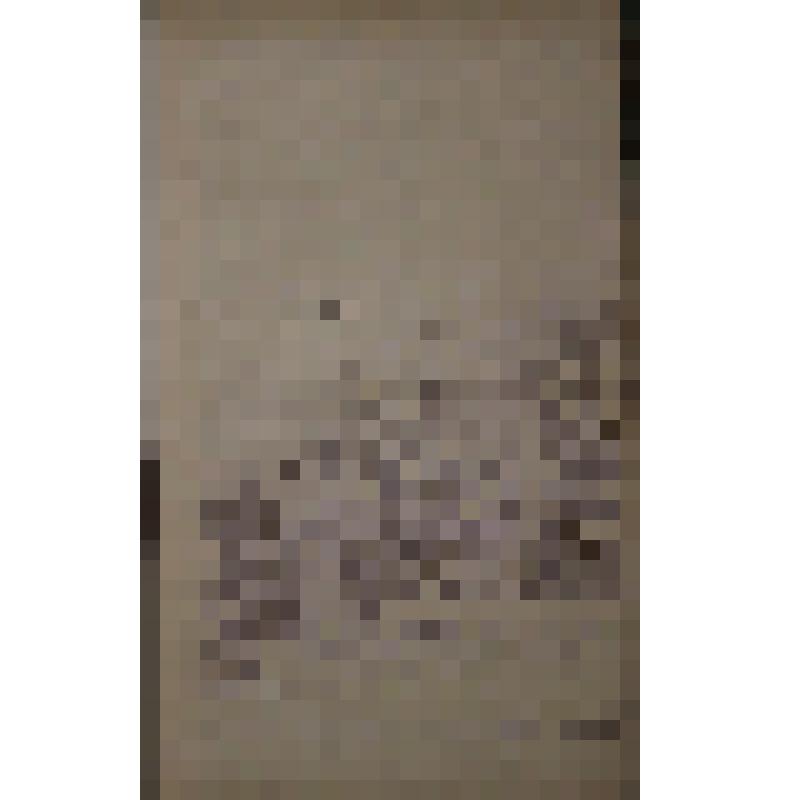 Воспоминания М.В. Голева о Гражданской войне, партизанском движении