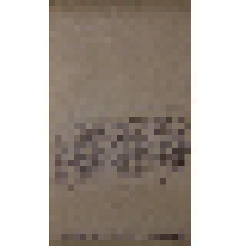 Воспоминания М.В. Голева о Гражданской войне, партизанском движении