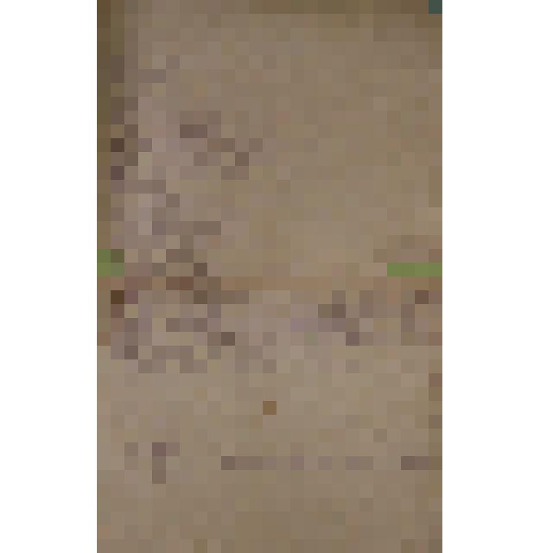 Воспоминания М.В. Голева о Гражданской войне, партизанском движении