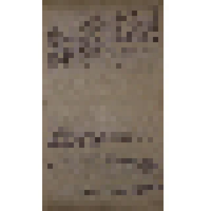 Воспоминания М.В. Голева о Гражданской войне, партизанском движении