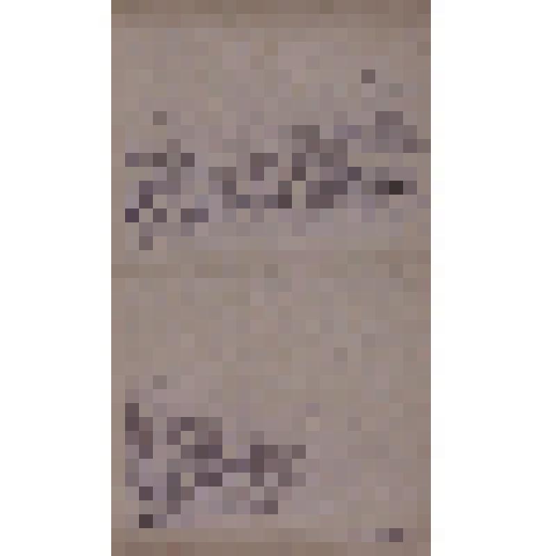 Воспоминания М.В. Голева о Гражданской войне, партизанском движении