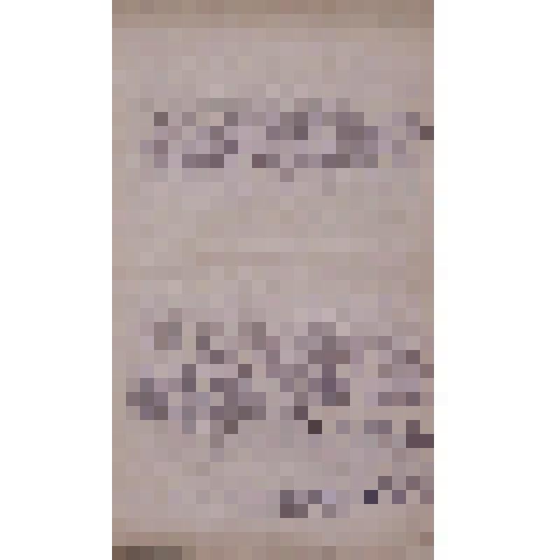 Воспоминания М.В. Голева о Гражданской войне, партизанском движении