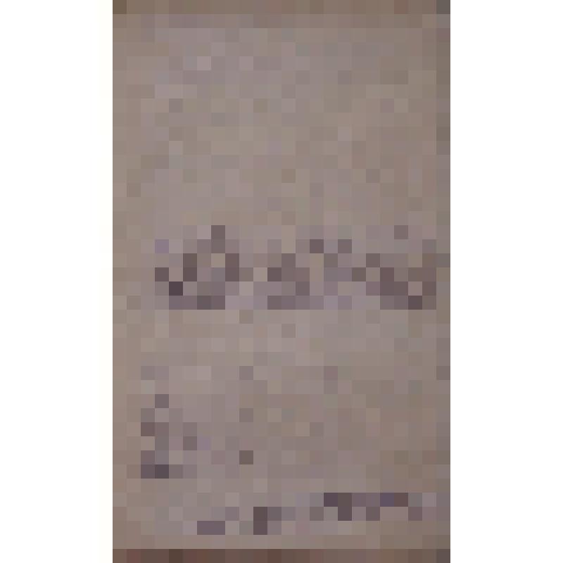 Воспоминания М.В. Голева о Гражданской войне, партизанском движении