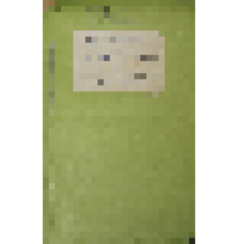 Воспоминания М.В. Голева о Гражданской войне, партизанском движении