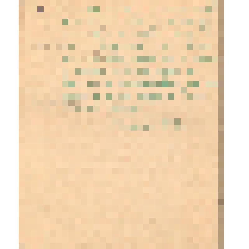 Воспоминания М.В. Голева о Гражданской войне, партизанском движении