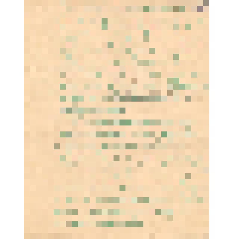 Воспоминания М.В. Голева о Гражданской войне, партизанском движении