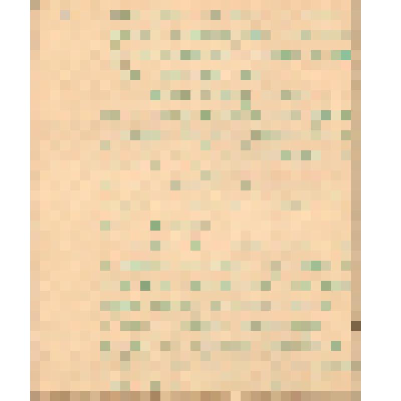 Воспоминания М.В. Голева о Гражданской войне, партизанском движении