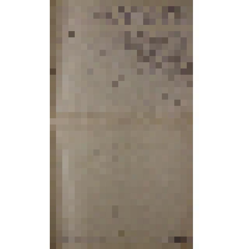 Воспоминания М.В. Голева о Гражданской войне, партизанском движении