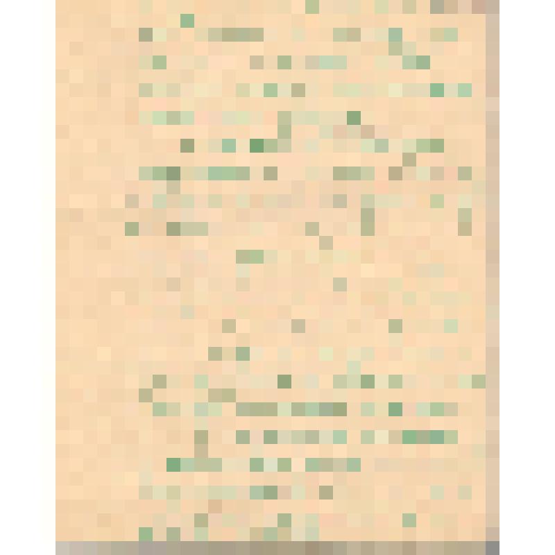 Воспоминания М.В. Голева о Гражданской войне, партизанском движении