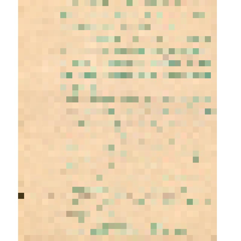 Воспоминания М.В. Голева о Гражданской войне, партизанском движении