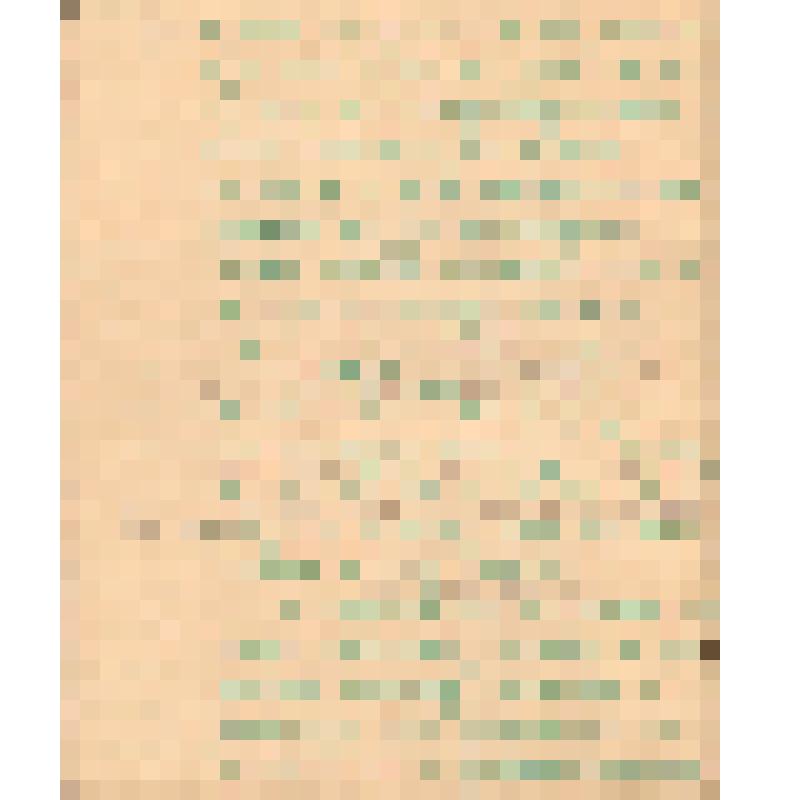 Воспоминания М.В. Голева о Гражданской войне, партизанском движении