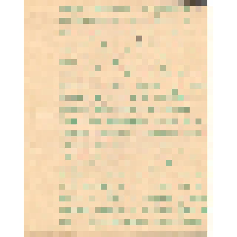 Воспоминания М.В. Голева о Гражданской войне, партизанском движении