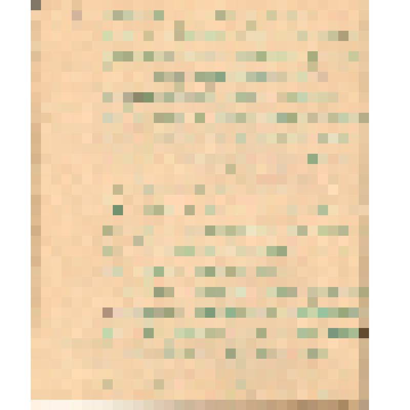 Воспоминания М.В. Голева о Гражданской войне, партизанском движении