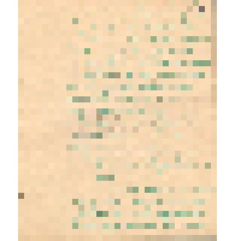 Воспоминания М.В. Голева о Гражданской войне, партизанском движении