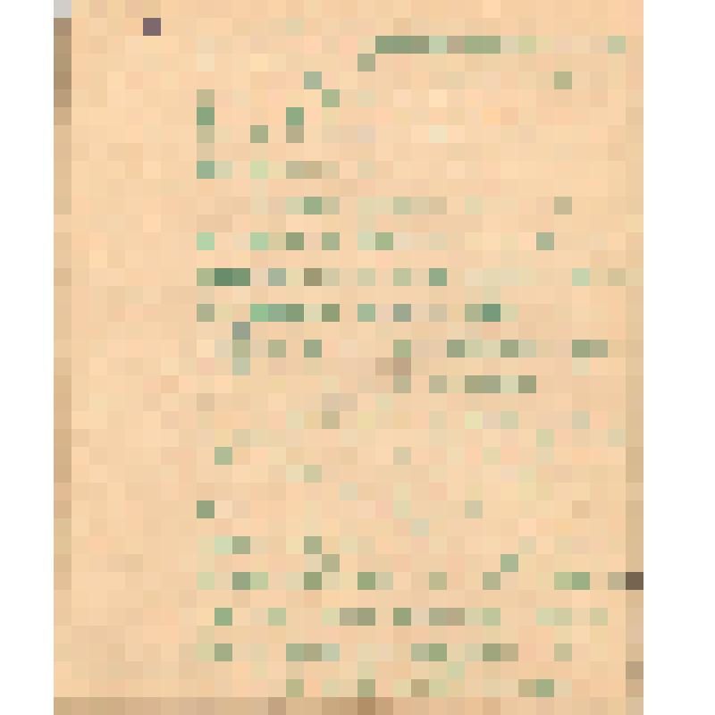 Воспоминания М.В. Голева о Гражданской войне, партизанском движении