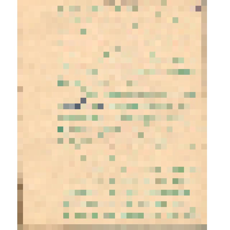 Воспоминания М.В. Голева о Гражданской войне, партизанском движении