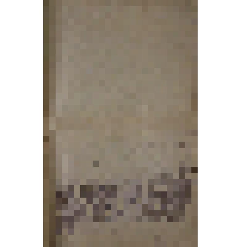 Воспоминания М.В. Голева о Гражданской войне, партизанском движении