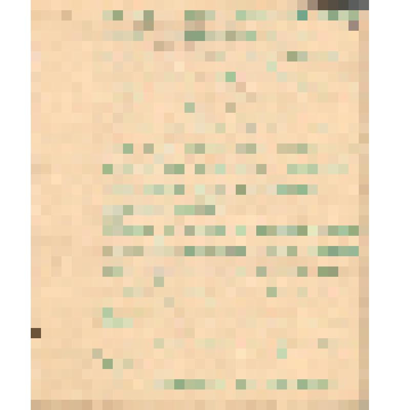 Воспоминания М.В. Голева о Гражданской войне, партизанском движении