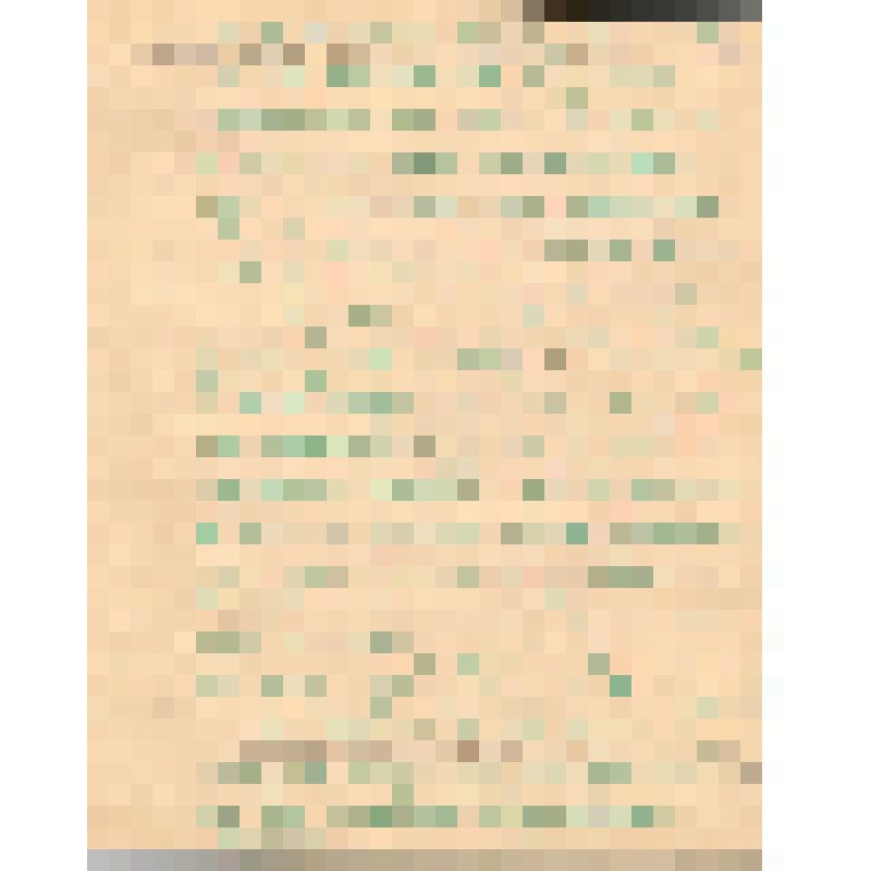 Воспоминания М.В. Голева о Гражданской войне, партизанском движении