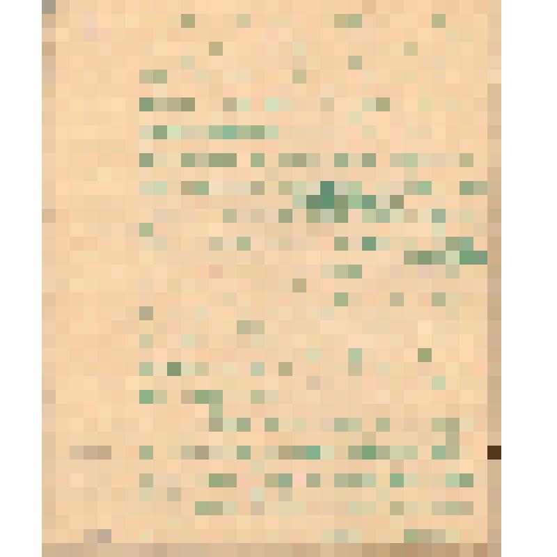 Воспоминания М.В. Голева о Гражданской войне, партизанском движении