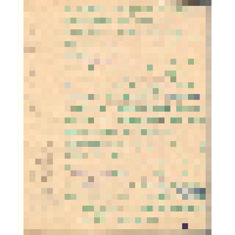 Воспоминания М.В. Голева о Гражданской войне, партизанском движении