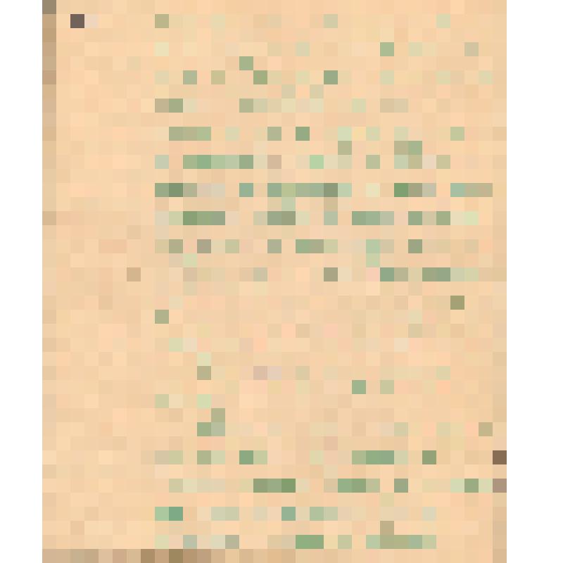 Воспоминания М.В. Голева о Гражданской войне, партизанском движении