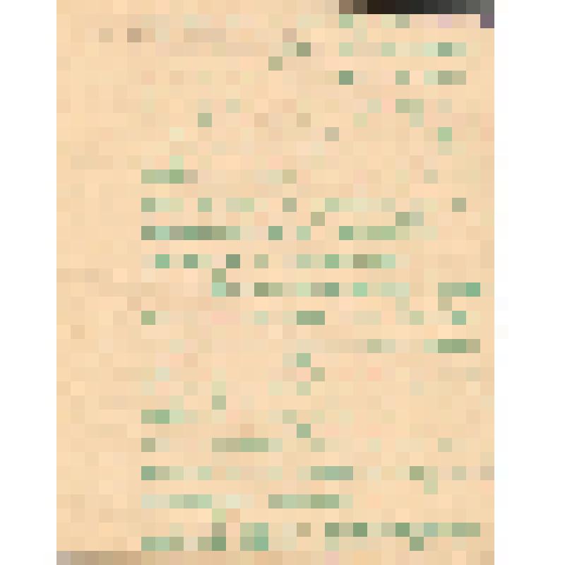 Воспоминания М.В. Голева о Гражданской войне, партизанском движении