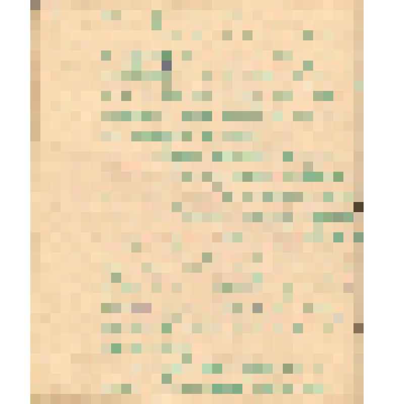 Воспоминания М.В. Голева о Гражданской войне, партизанском движении