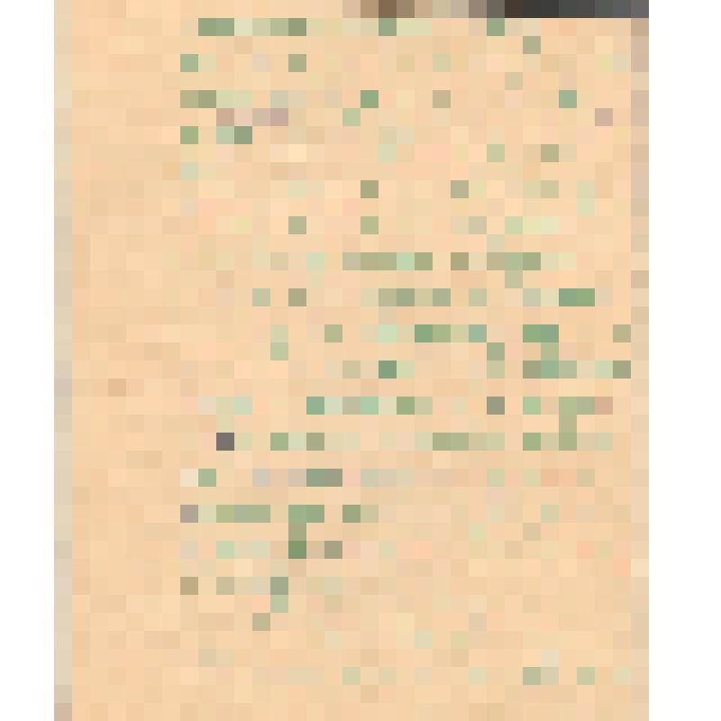 Воспоминания М.В. Голева о Гражданской войне, партизанском движении