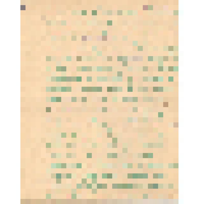 Воспоминания М.В. Голева о Гражданской войне, партизанском движении