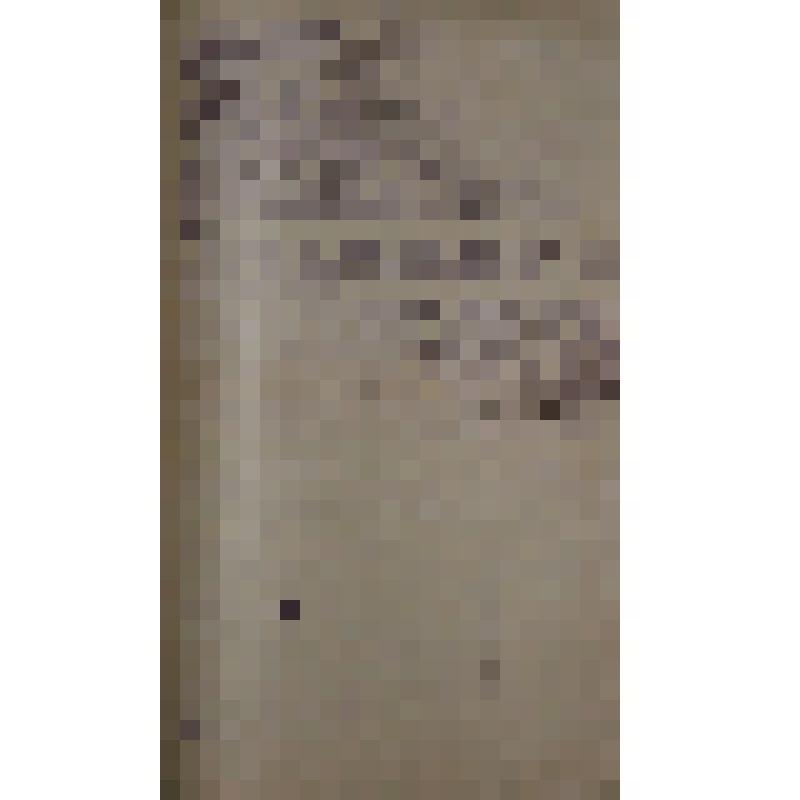 Воспоминания М.В. Голева о Гражданской войне, партизанском движении