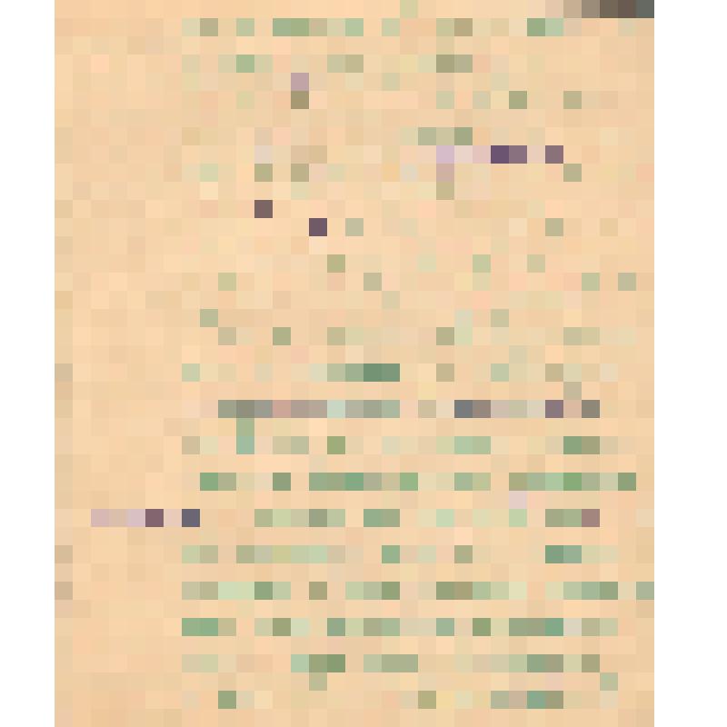 Воспоминания М.В. Голева о Гражданской войне, партизанском движении