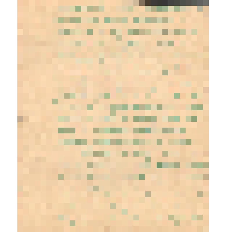 Воспоминания М.В. Голева о Гражданской войне, партизанском движении