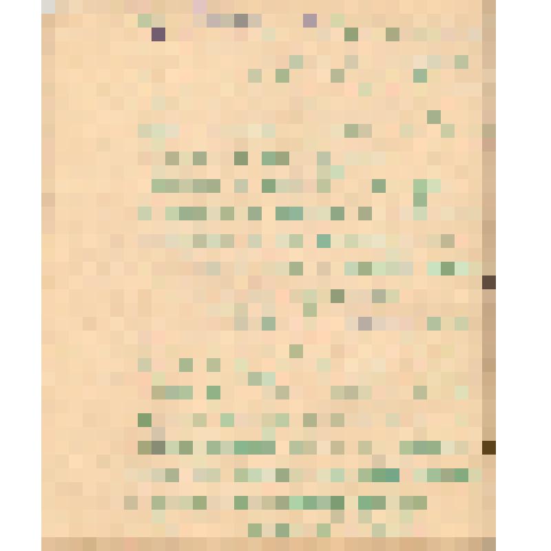 Воспоминания М.В. Голева о Гражданской войне, партизанском движении