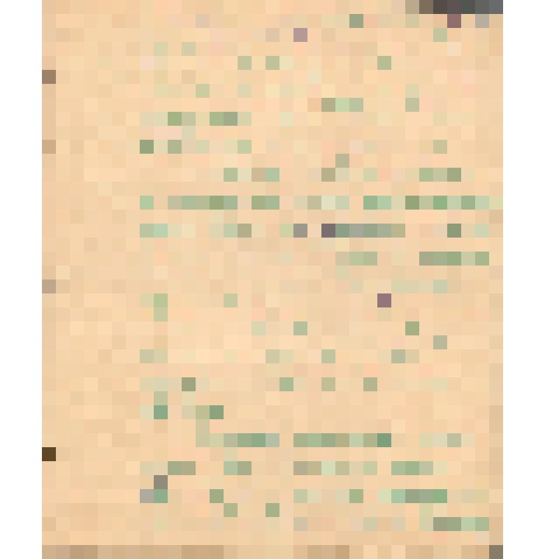 Воспоминания М.В. Голева о Гражданской войне, партизанском движении