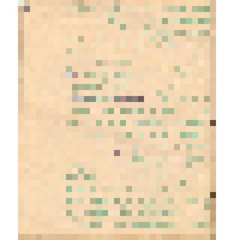 Воспоминания М.В. Голева о Гражданской войне, партизанском движении