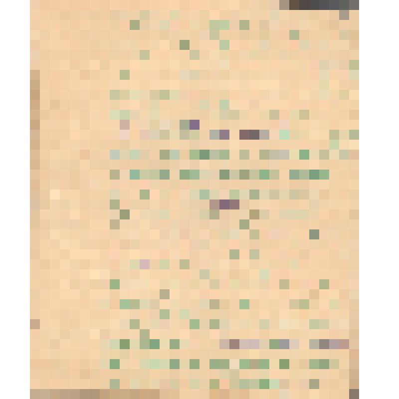 Воспоминания М.В. Голева о Гражданской войне, партизанском движении