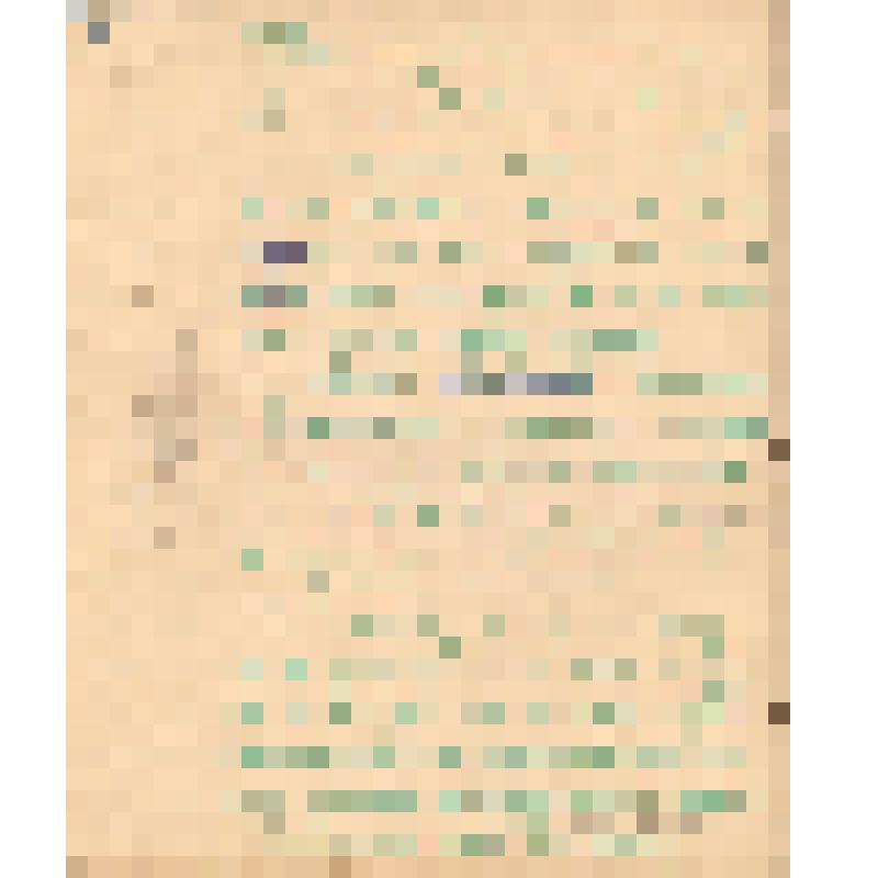 Воспоминания М.В. Голева о Гражданской войне, партизанском движении