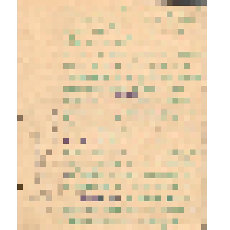 Воспоминания М.В. Голева о Гражданской войне, партизанском движении