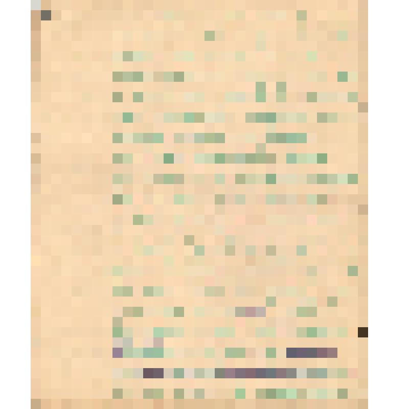 Воспоминания М.В. Голева о Гражданской войне, партизанском движении