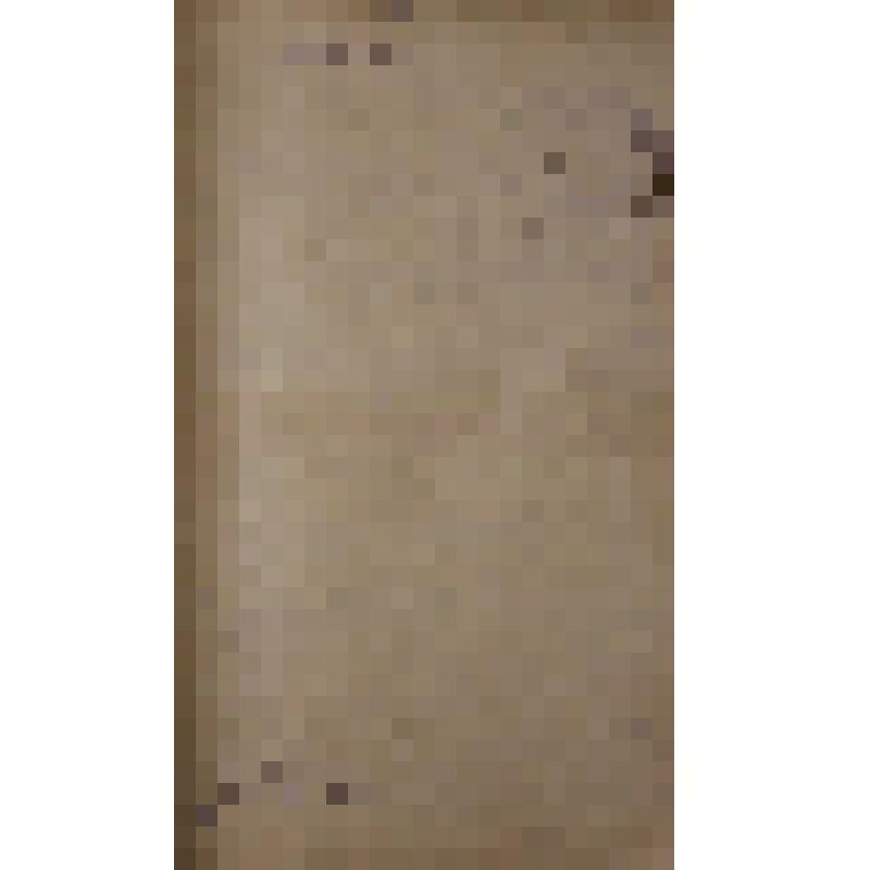 Воспоминания М.В. Голева о Гражданской войне, партизанском движении