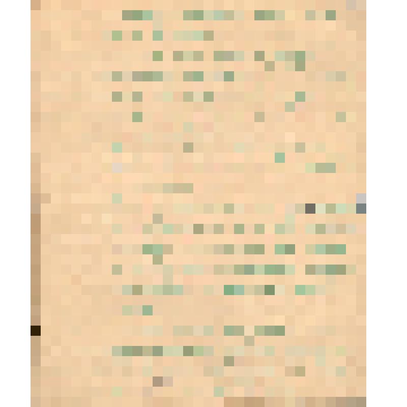 Воспоминания М.В. Голева о Гражданской войне, партизанском движении