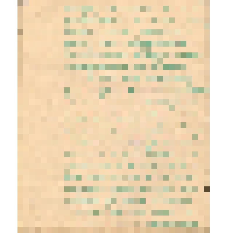 Воспоминания М.В. Голева о Гражданской войне, партизанском движении